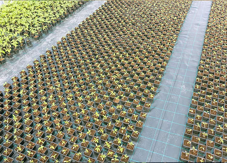 woven-ground-cover-new-03